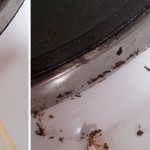 Herd reinigen mit Putzstein von Dr. Beckmann und Zahnstocher bzw. Schaschlikspieß, um die Rillen am Metallring zu säubern
