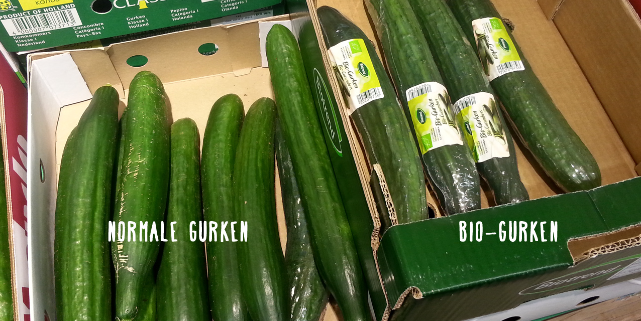 Gurke versus Biogurke - Wo liegt der Unterschied?