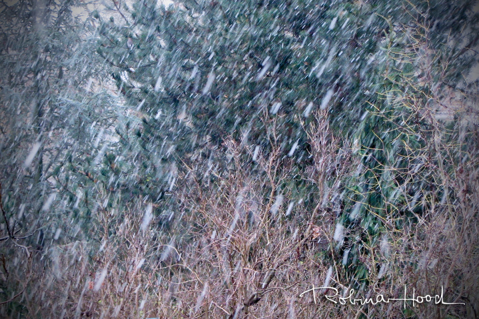 Rezept nach 10WBC - Kichererbsenbrot - Robina Hood Rezept nach 10WBC - Kichererbsenbrot - Robina Hood