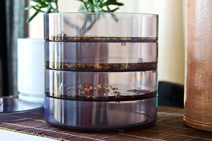 ZenGreens Bio Sprossen Anzuchtturm 4 Etagen – Komplettset Mit Keimturm Und Bio-Sprossensamen
